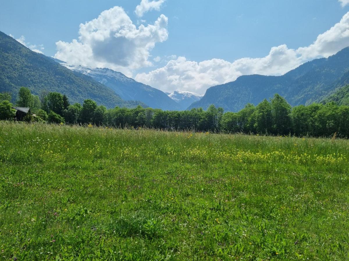 Appartement Le Grand Tetras à Samoëns Extérieur photo